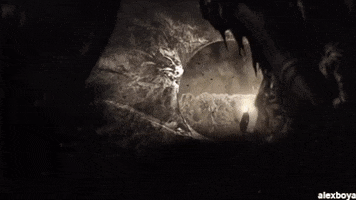 Ad GIF by Alex Boya