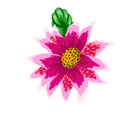 Pink Love Sticker