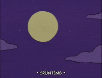 the simpsons episode 25 GIF