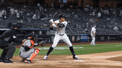 New York Baseball GIF by YES Network
