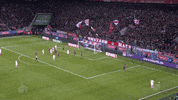 jhon cordoba soccer GIF by 1. FC Köln