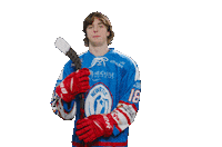 Hockey Hawes Sticker by Newcastle Northstars