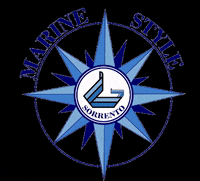 alilaurogruson boat capri sorrento alilauro GIF