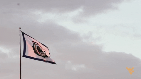 West Virginia Mountaineers GIF by WVU Sports