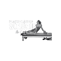 AllineaPilates allineapilates pilatesclassico pilatesbrasil ceciliapanelli Sticker