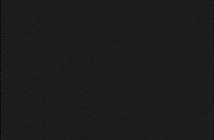 lethal weapon GIF