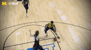 March Madness GIF by Michigan Athletics