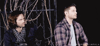 aborddelimpala nope look jensen ackles jared padalecki GIF