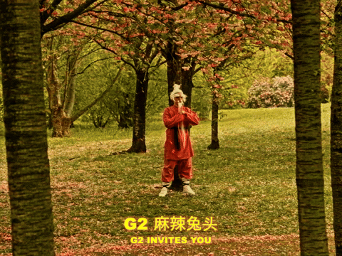 League Of Legends Lol GIF by G2 Esports