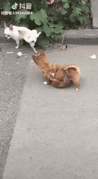 reaction mood GIF