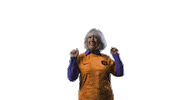 HuisVanOranje voetbal nederland holland oranje Sticker