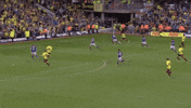 Watford Fc Sport GIF by Watford Football Club