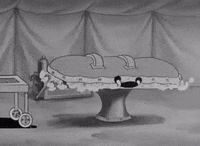 fleischerstudios retro vintage black and white america GIF
