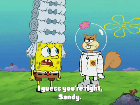 season 4 bummer vacation GIF by SpongeBob SquarePants