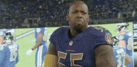 Happy National Football League GIF by Baltimore Ravens