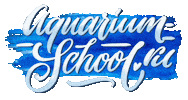 Art Studio Aquarium Sticker by Aquarium-school
