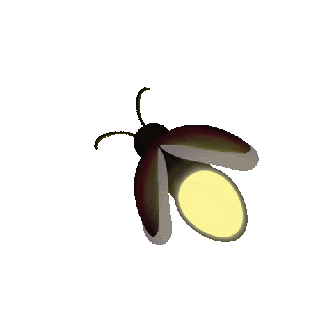 rachelcoonart  Sticker