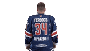 Hockey Sticker by Fehervar AV19