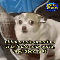 Figurinhas Azar GIF by Sou Eu Na Vida