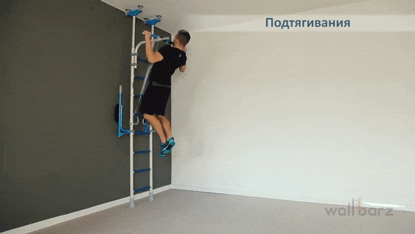 bodybuilding-and-fitness giphyupload stenka GIF