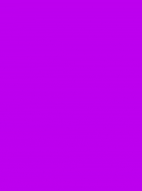 Pop Italy GIF by Dutygorn