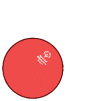 Sport Sob Sticker by Special Olympics Belgium
