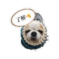 Santa Ok Sticker