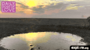 exploreorg love nature animal organic GIF