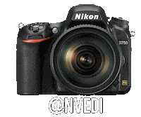 Nikon Nikoninstabadge Sticker by NikonIndia