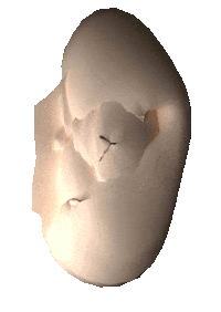 3D Artists On Tumblr GIF by badblueprints