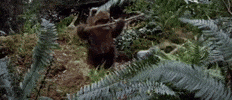 return of the jedi episode 6 GIF by Star Wars