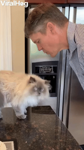 Cat Grabs Dad For Kiss