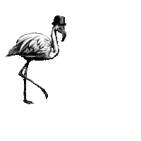 siredmondgin cocktail gin flamingo gin tonic Sticker