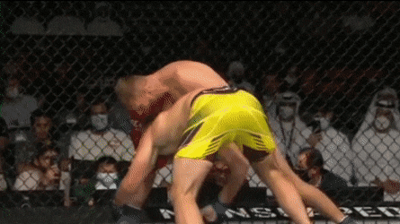 pecanac giphyupload GIF