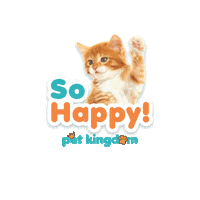 Pet Petlovers Sticker by DM KLR