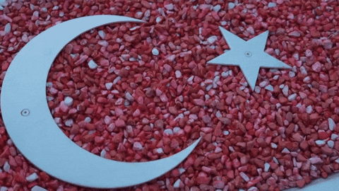 19 Mayıs Turkey GIF by TRT