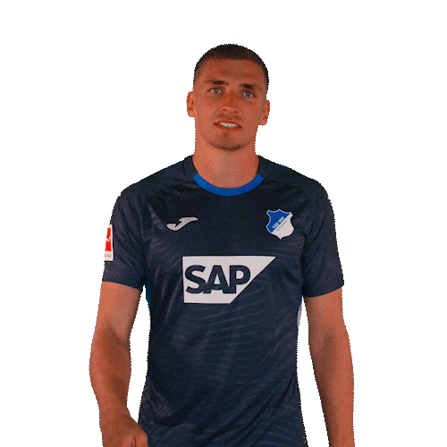 Grischa Prömel Sport Sticker by TSG Hoffenheim