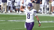 Talk To Me Stone GIF by Northwestern Athletics