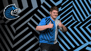 Rocket League Win GIF by BS+COMPETITION
