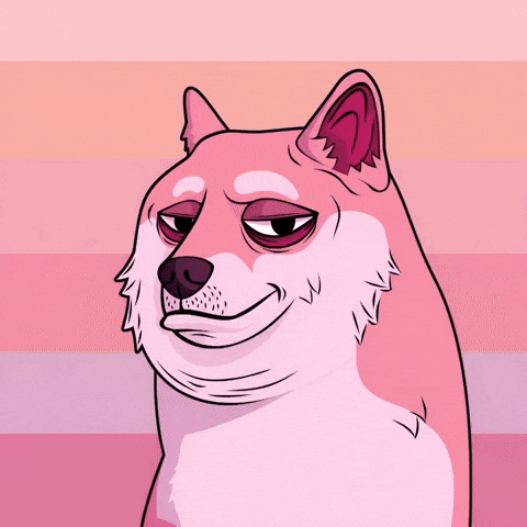 Judging Shiba Inu GIF by Doge Pound