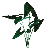 Plant Draw Sticker