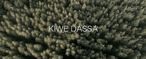 kiwe dassa GIF by thejazdhami