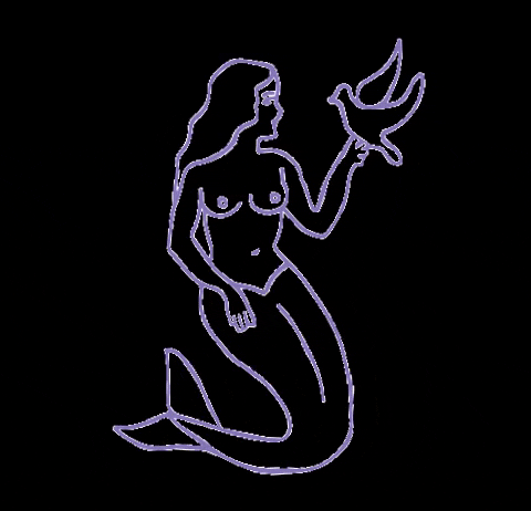 kokopeludo giphygifmaker mermaid dove Braga GIF
