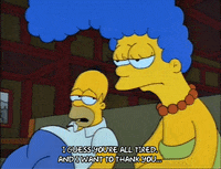 Season 2 Episode 20 GIF by The Simpsons
