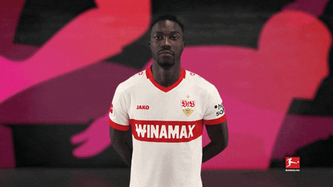Vfb Stuttgart Flowers GIF by Bundesliga