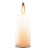 Cempasuchil Pandemuerto Sticker by Linio México