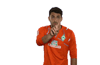 Stefanos Kapino Football Sticker by SV Werder Bremen