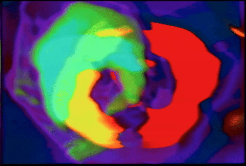 Video Art GIF by cskonopka