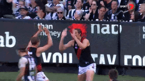 aussie rules smile GIF by Essendon FC