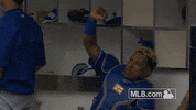 Kansas City Royals Fist GIF by MLB